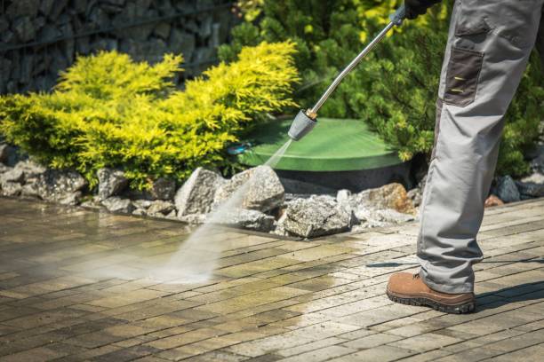 Best Patio and Deck Pressure Washing  in East Renton Highlands, WA