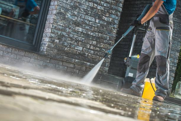 Best Roof Washing  in East Renton Highlands, WA