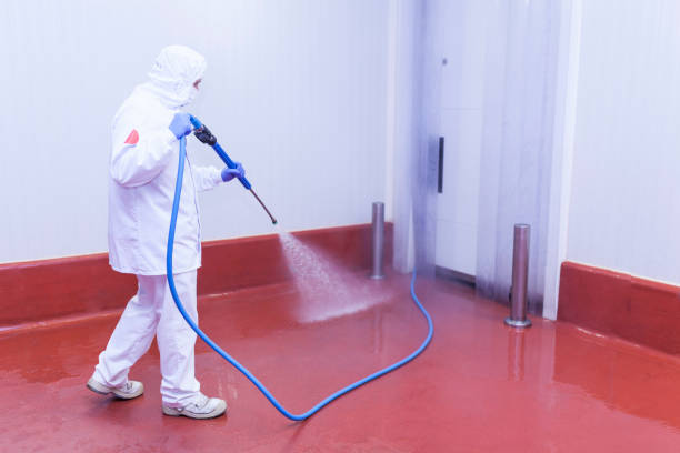 Best Restaurant Pressure Washing  in East Renton Highlands, WA