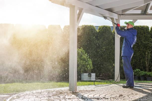 Best Building Exterior Washing  in East Renton Highlands, WA